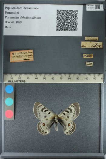 Media type: image;   Entomology 180416
